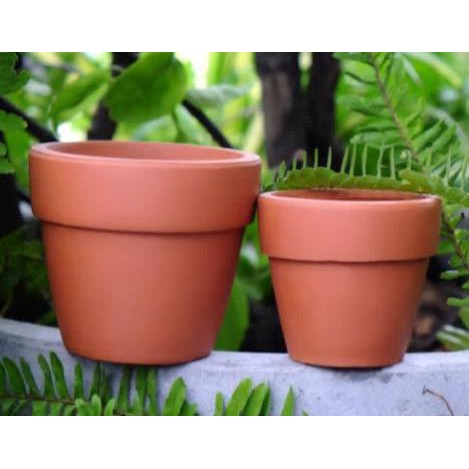 chậu đất nung nâu lớn
