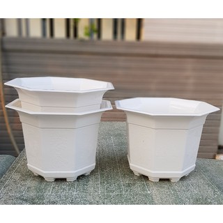 Bộ 2 chậu trồng hoa nhựa bát giác trắng 22x17cm
