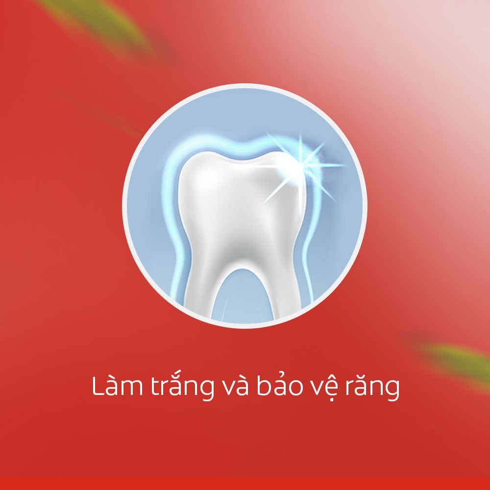 Bộ 3 Kem đánh răng Colgate làm trắng răng từ Tảo biển và muối tinh khiết 180g/hộp