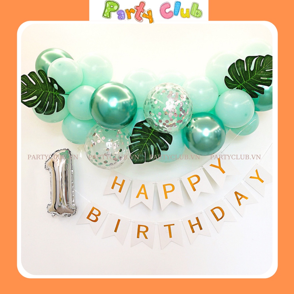 Set bóng trang trí sinh nhật cho bé tại nhà mẫu DG-001