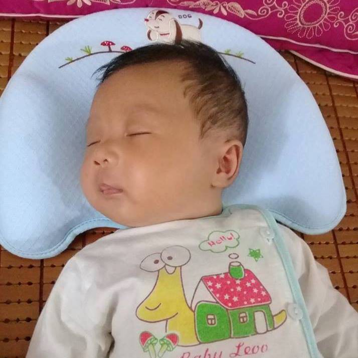 Gối chống méo bẹp đầu Babymow cho bé ( hàng full hộp chính hãng )