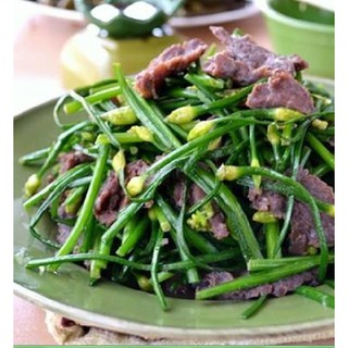 Hạt Giống Cây Lá Hẹ Ta– 2 Gram ( 1 gói )