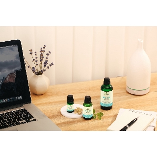 Combo 2 chai Tinh dầu Java & Tinh dầu Bạc Hà 24Care (10ml/chai)