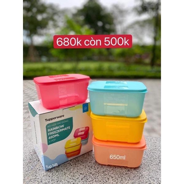 Set hộp trữ đông
