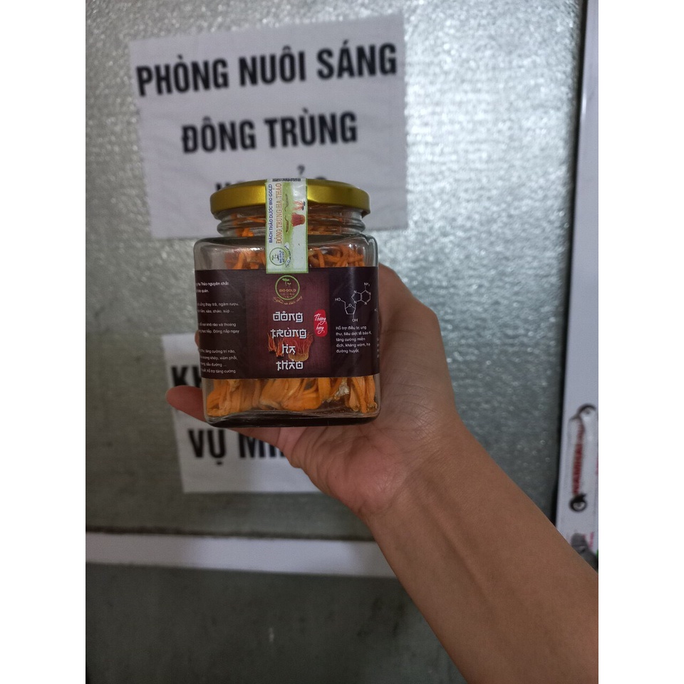 Đông Trùng Hạ Thảo Bio Gold  Sấy Khô Sợi To  Ngon Hàng Cao Cấp Bồi Bổ Cơ Thể