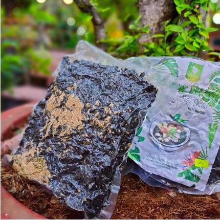 Rong Biển sấy tỏi tẩm gia vị ăn liền ROBIS size lớn 500gr hút chân không