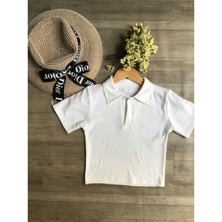 áo cổ trụ croptop