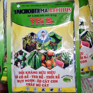 Trichoderma Bacillus 100gr - chế phẩm vi sinh kháng nấm .
