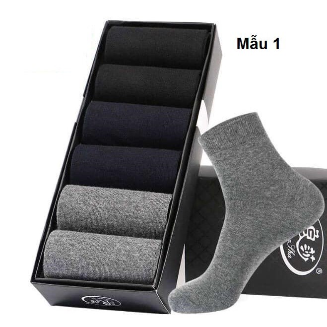 FA097 Hộp 6 đôi tất nam (vớ) cotton kháng khuẩn mềm mại cao cấp Đài Loan hàng nhập