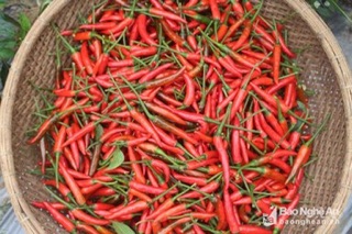 Ớt bột cay ngon 500g