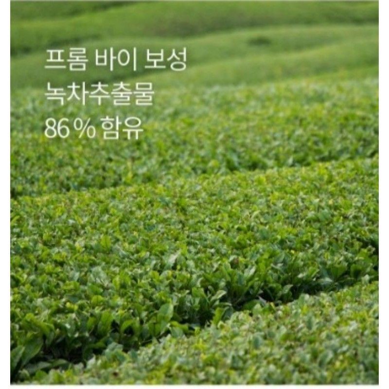 Sữa dưỡng da trà xanh Tonymoly The Chok Chok Green Tea Watery Lotion 160ml