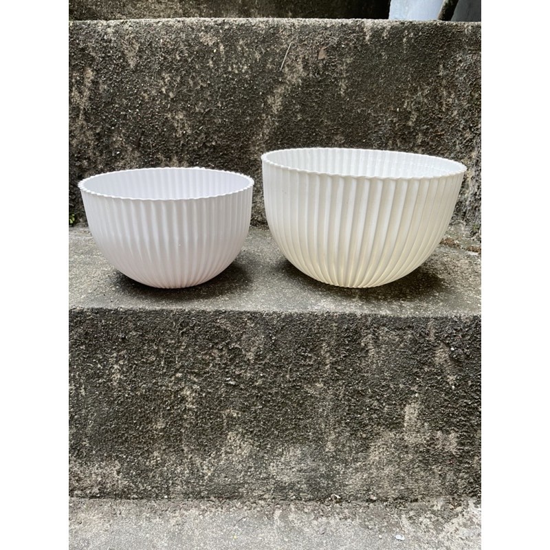 Chậu nhựa trồng cây vân sò - loại dày,đẹp