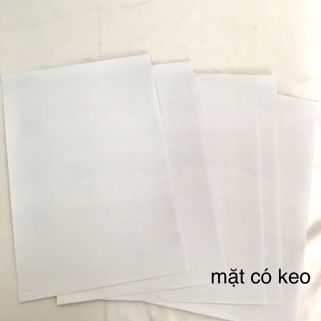 DECAL IN TEM TRONG SUỐT KHỔ A3 / A4