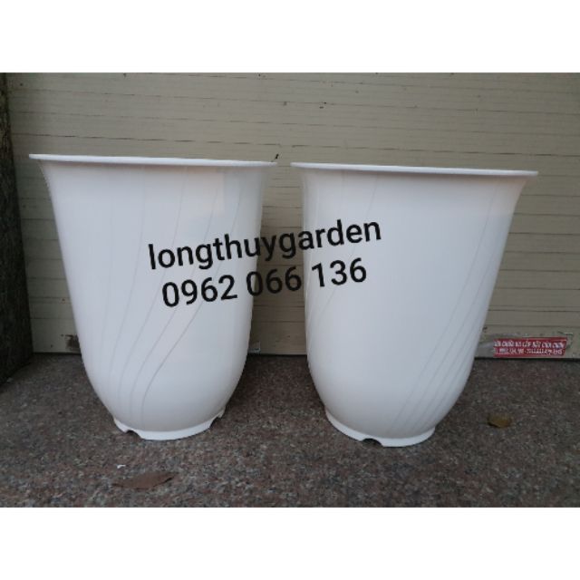 Chậu bom bé rộng 36cm màu trắng