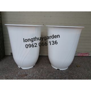Chậu bom bé rộng 36cm màu trắng
