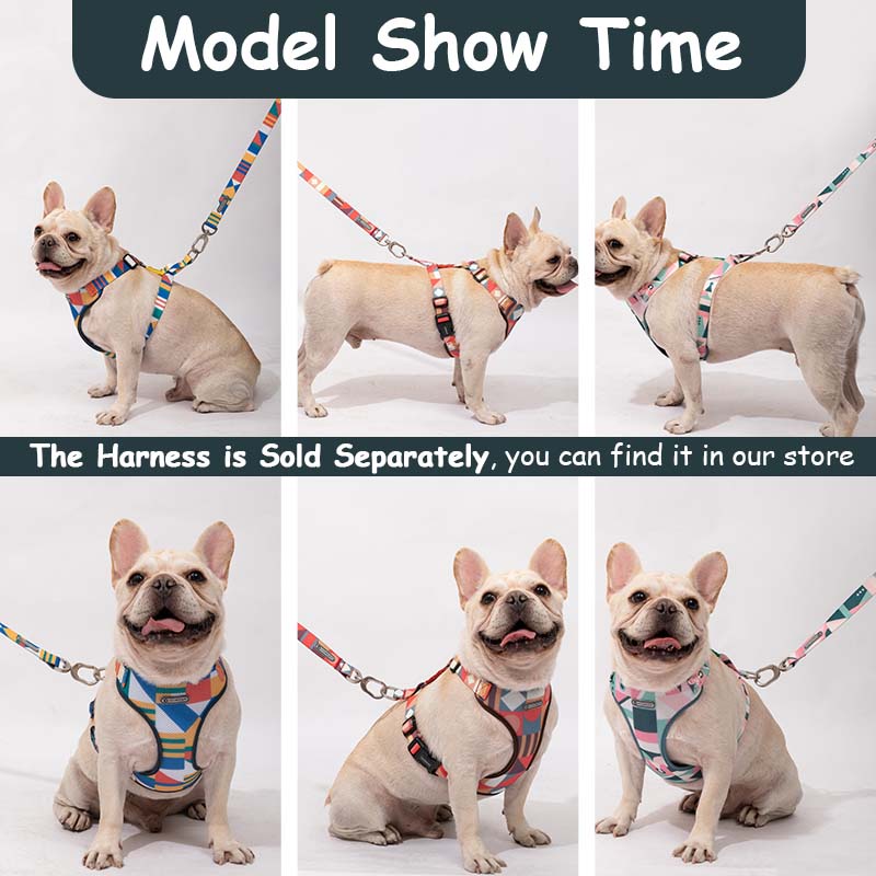 HamshMoc Dây Dắt Thú Cưng Đi Dạo Có Đệm Mềm Chịu Được Sức Nặng