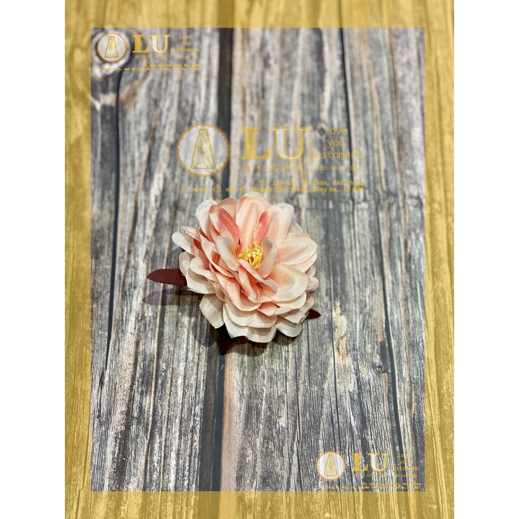 Đầu hoa trà nhuỵ vàng | LU