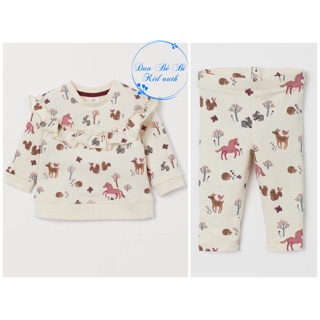 Set nỉ bé gái H&M