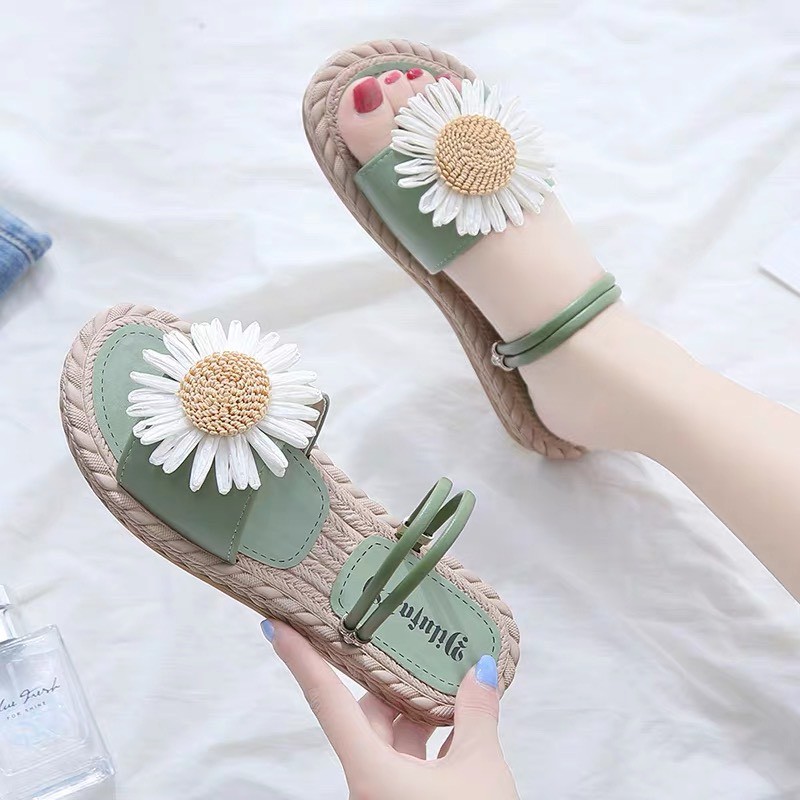 Sandan hoa cúc đế cói- Siêu cute