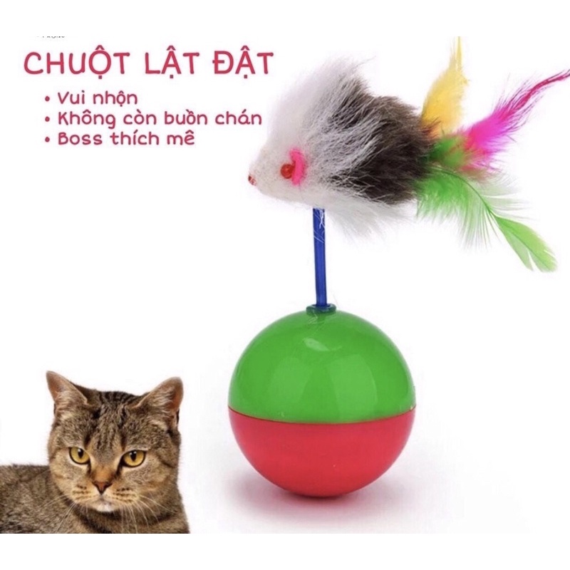 chuột lật đật chó mèo