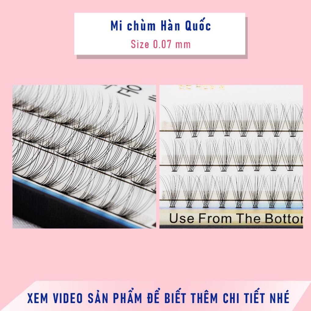 [SALE SỐC] Mi chùm Hàn Quốc Eyelash Supply HOT