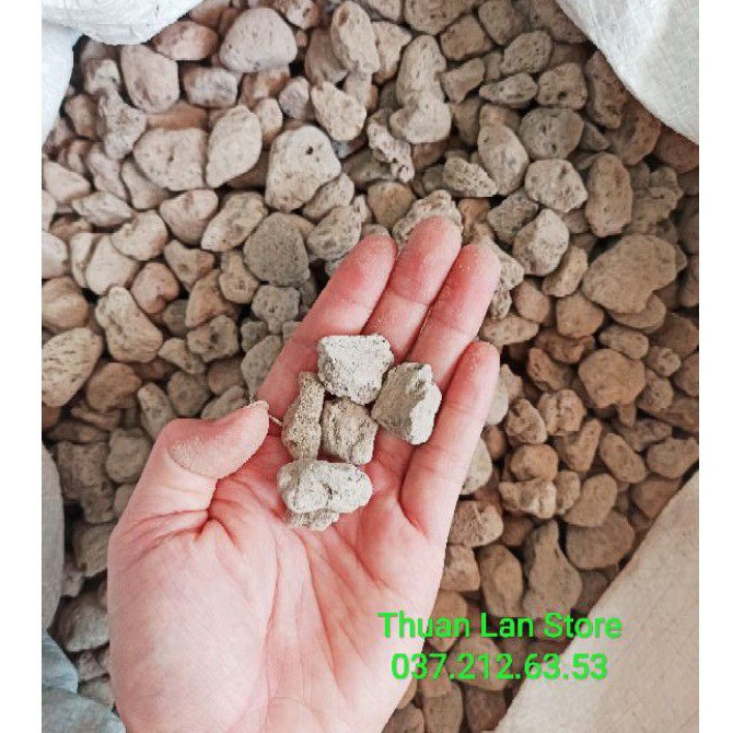 Đá Pumice (Đá Bọt Núi Lửa) Trồng Cây Size 1-2cm gói 1kg