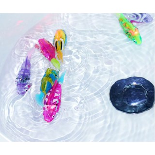 Cá cảnh chạy pin có đèn led Robo Fish