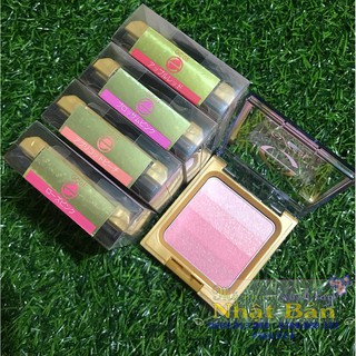 PHẤN MÁ CAO CẤP GRADATION CHEEK EXCEL