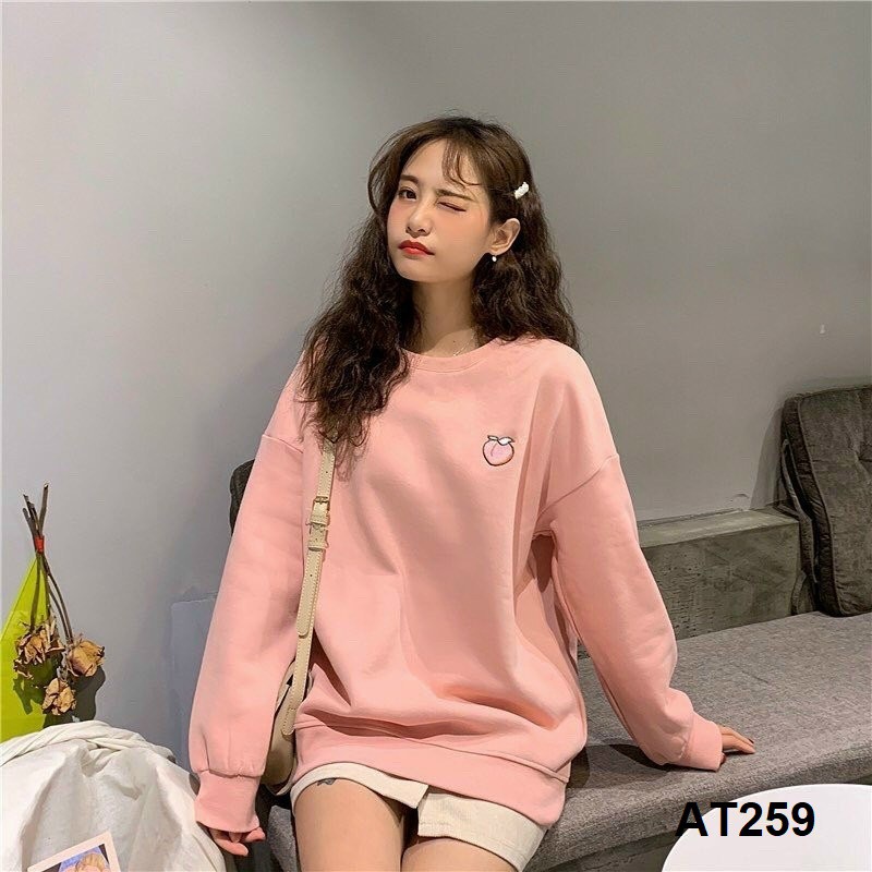 Áo phông nữ dài tay [Chất nỉ bông] AT259