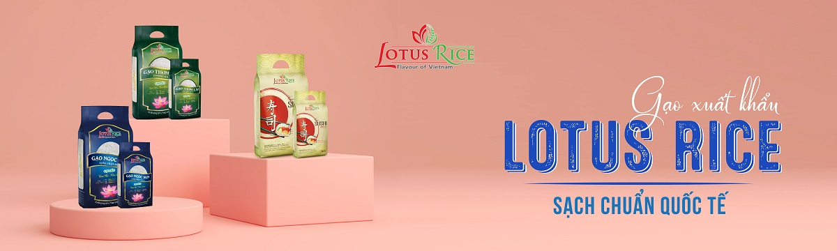 Gạo Hoa Sen, Cửa hàng trực tuyến | Shopee Việt Nam