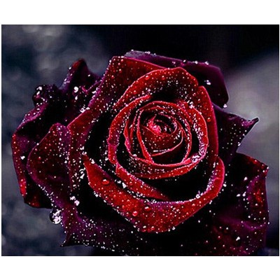 2018☆☆☆Model Tide☀Tranh đính đá hình hoa hồng d605