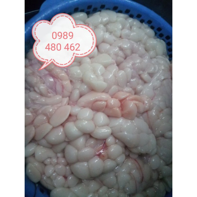 0.5 ký mỡ trăn tươi nguyên chất | BigBuy360 - bigbuy360.vn