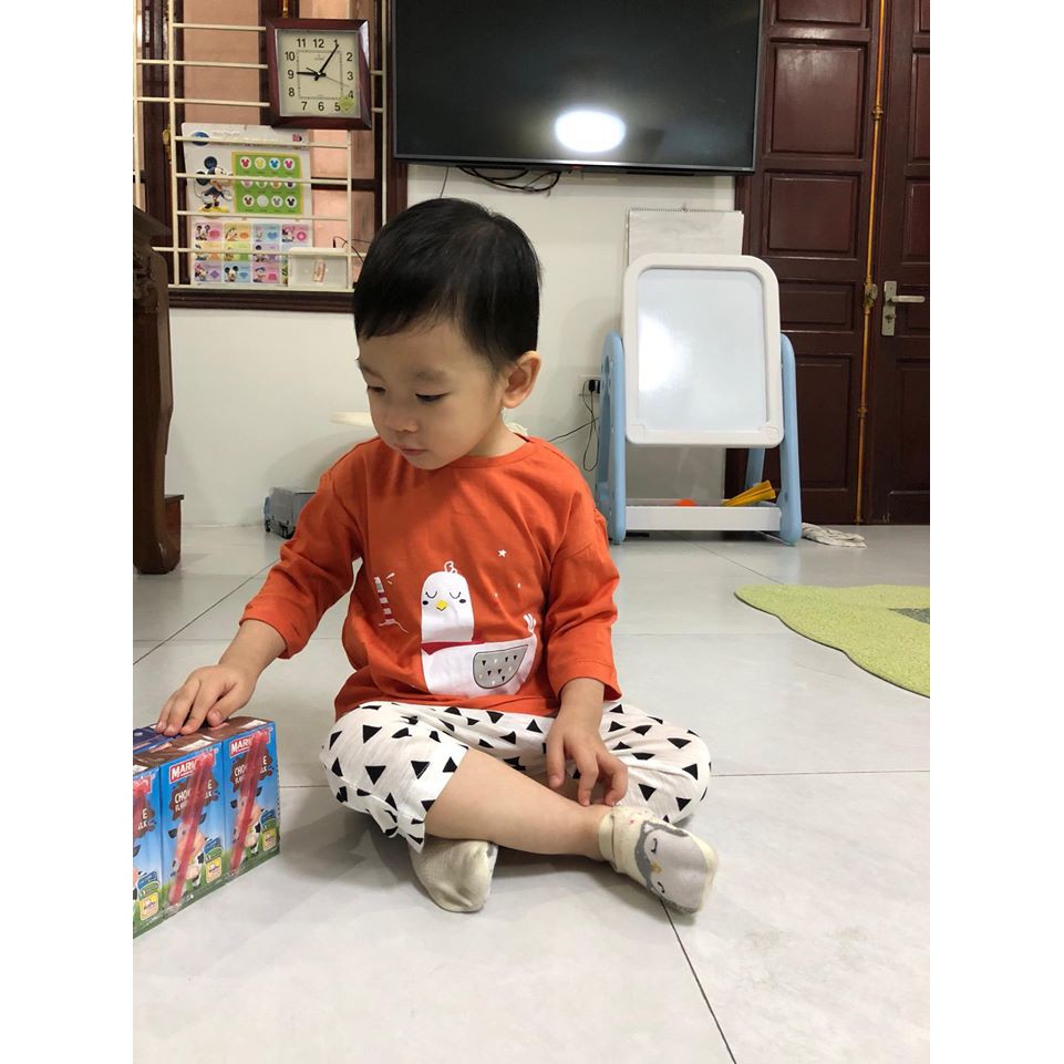 Bộ cộc hè cho cả bé trai, bé gái