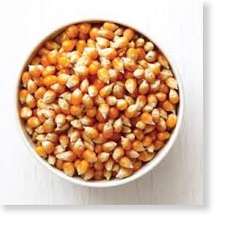 500GR NGÔ MỸ NỔ BẮP RANG BƠ TẠI NHÀ NGON NHƯ RẠP CHIẾU CHIM