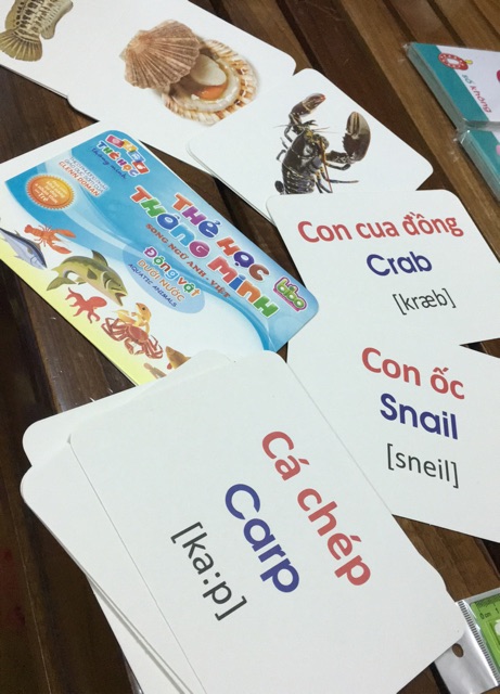 Flash card cho bé - thẻ học thông minh song ngữ anh- việt , động vật dưới nước