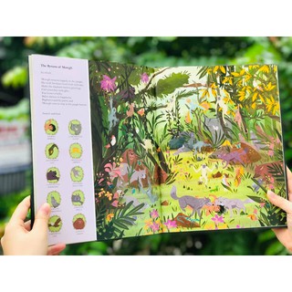 Search And Find The Jungle Book