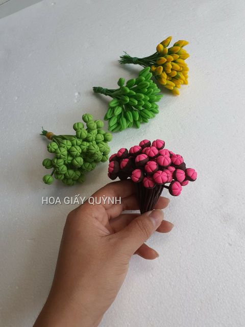 BÓ 50 NỤ MAI/ĐÀO ĐẤT SÉT