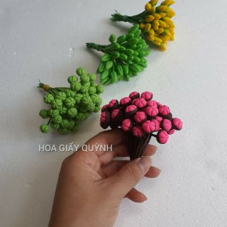 BÓ 50 NỤ MAI/ĐÀO ĐẤT SÉT