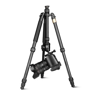 Chân máy ảnh Tripod/ Monopod Q-999S