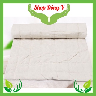 Ruột thảm ngải cứu chính hãng, đệm ngải vật lí trị liệu, bh 6 tháng