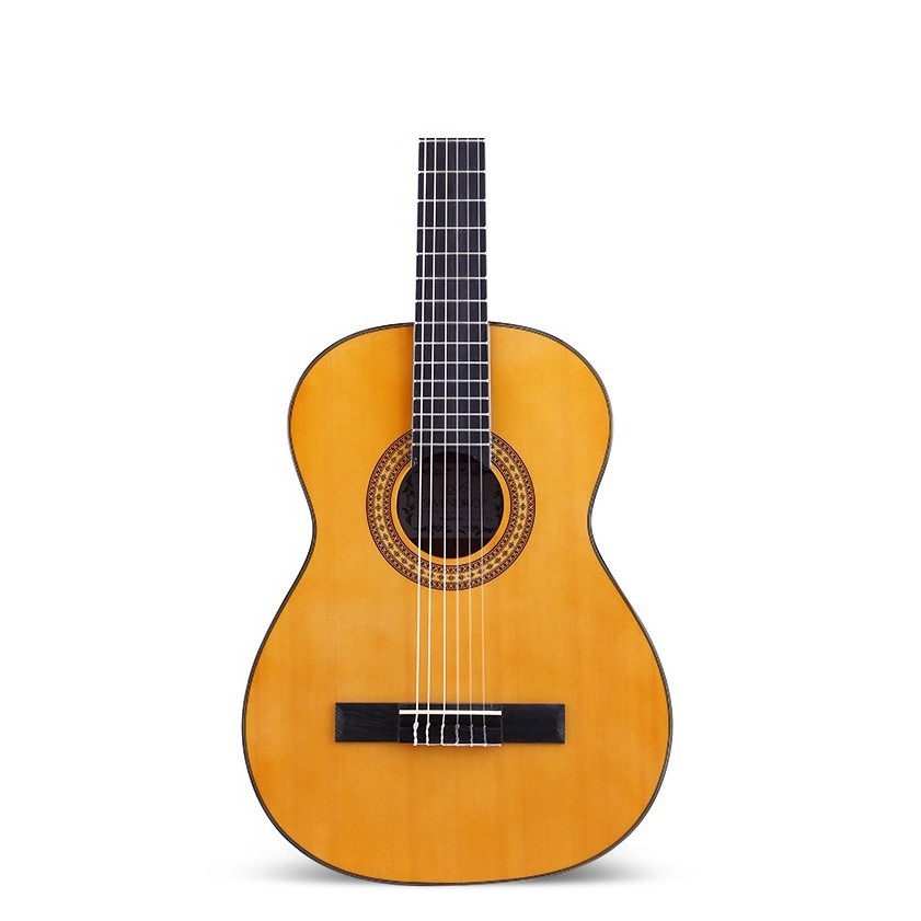 Đàn guitar acoustic Hàn Quốc cho bạn mới tập chơi F320