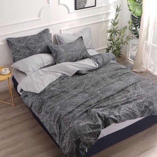 Bộ mền drap phao
