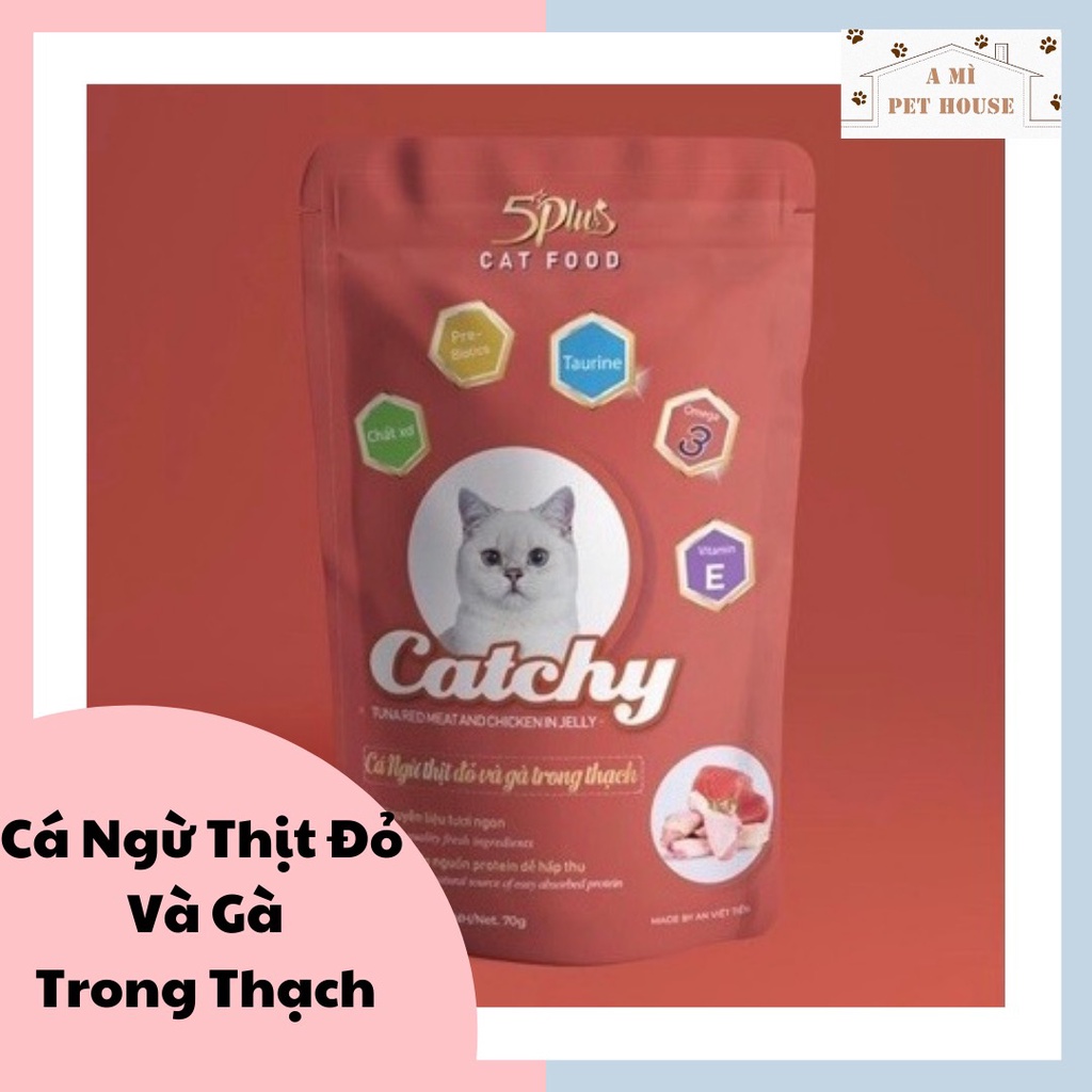 Pate 5PLUS CATCHY cho mèo gói 70g | thức ăn ướt cho mèo có 7 vị đa dạng