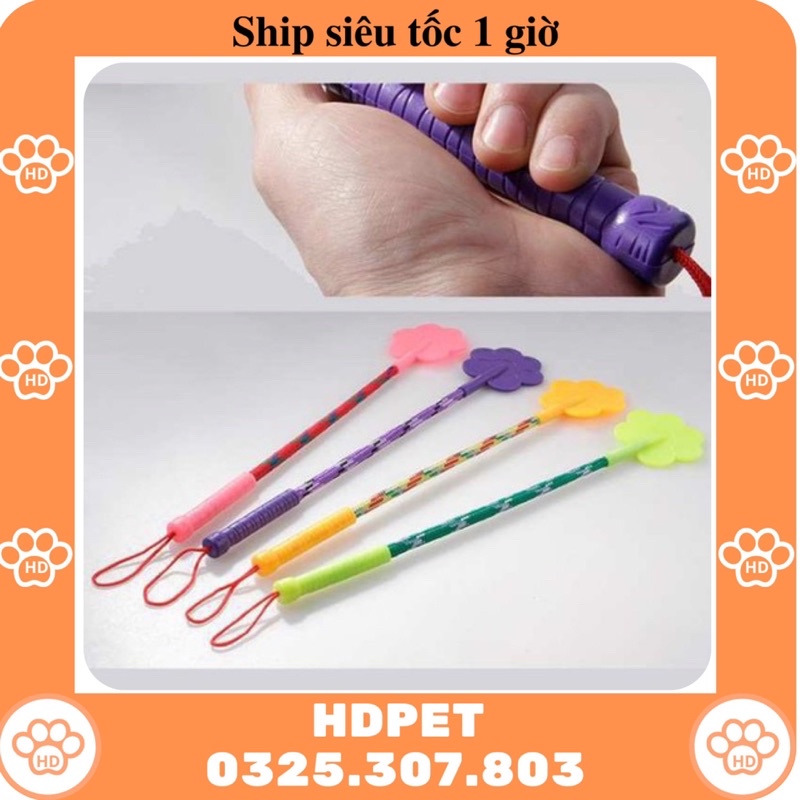 Roi tét mông cho thú cưng, huấn luyện thú cưng