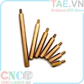 Ốc Đồng M3 Đực- Cái Lục Giác