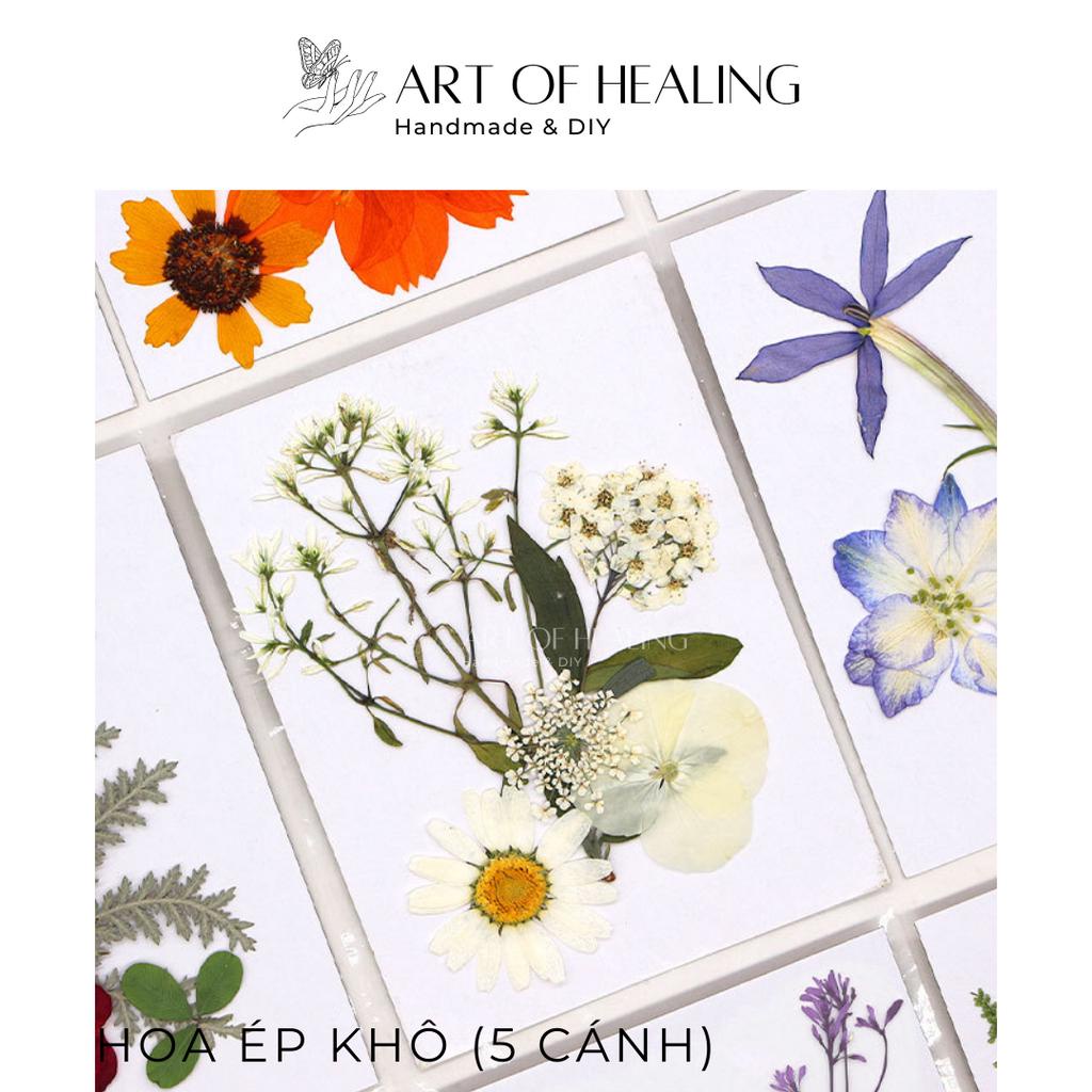 Set hoa ép khô các loại trang trí nến, resin, sổ tay, decor - 5 cánh  - Handmade & DIY