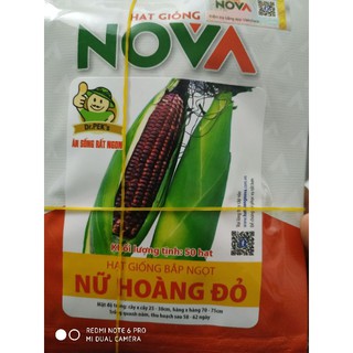Hạt giống Bắp Nữ Hoàng Đỏ ( có thể ăn sống ) 50 hạt❤️FREESHIP XTRA❤️
