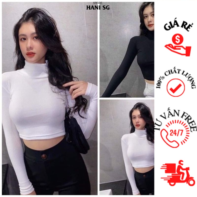 Áo croptop KIỂU cổ lọ tay dài HANI -PC452