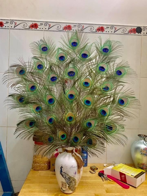 Lông công ~50cm HÀNG ĐẸP mắt 4-6cm | BigBuy360 - bigbuy360.vn