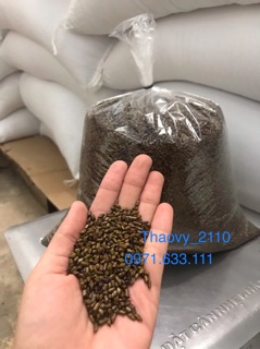 Mã A1-Combo đồ chơi xúc cát hạt muồng